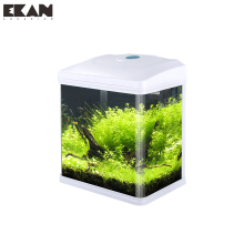 Mini aquarium de décoration de bureau de mode avec lumière LED et pompe à eau